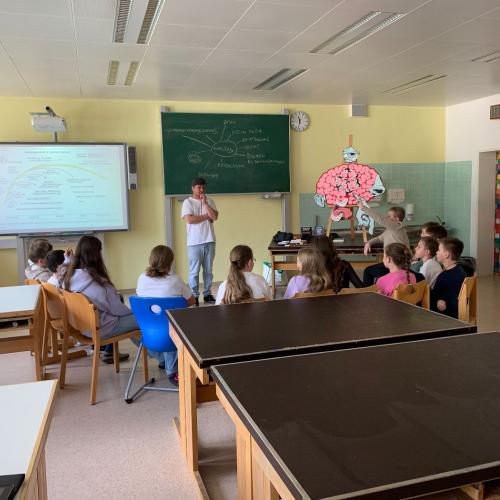 Umweltprojekt