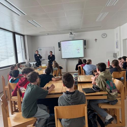 Mobbing Workshop
