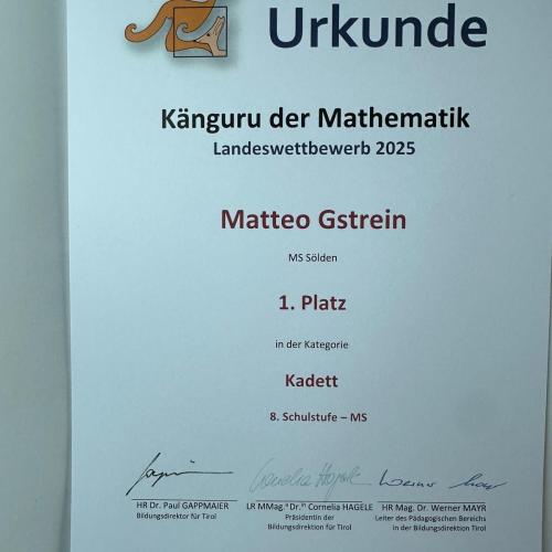 Känguru der Mathematik