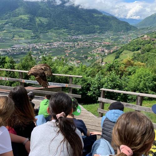 Südtirol