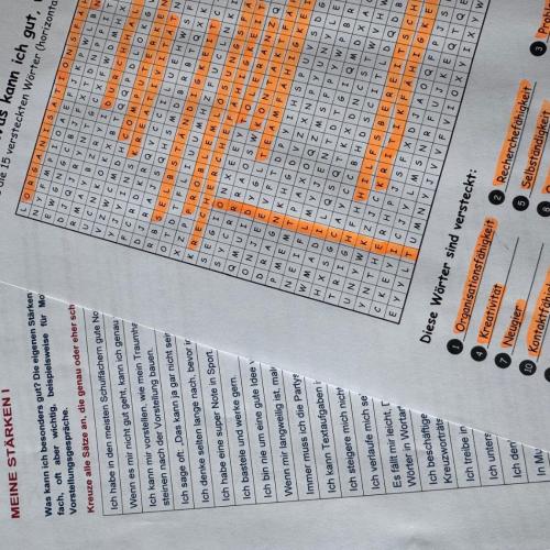 BIZ-Stärkenworkshop