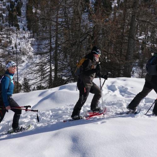 Schneeschuh-Abenteuer 