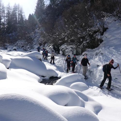 Schneeschuh-Abenteuer 