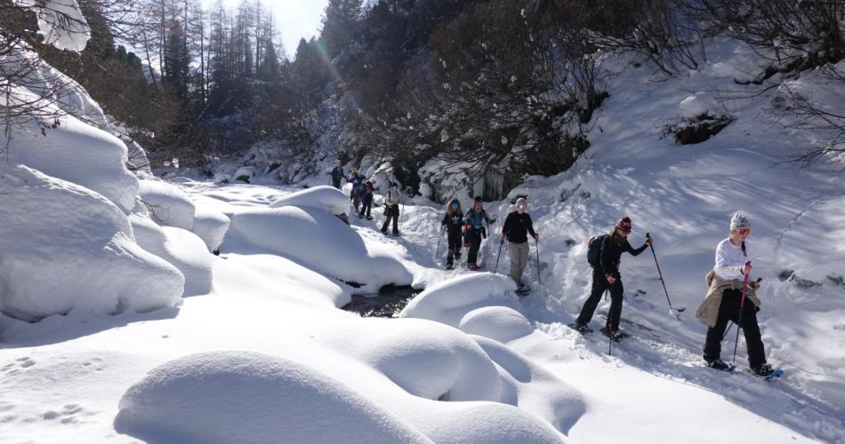 Schneeschuh-Abenteuer 